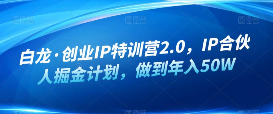 白龙·创业IP特训营2.0，IP合伙人掘金计划，做到50W_免费分享网络创业,副业,信息差项目的老牌资源整合平台！金铲子项目