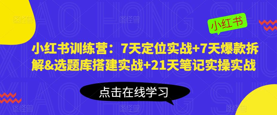 小红书训练营：7天定位实战7天爆款拆解&选题库搭建实战21天笔记实操实战_免费分享网络创业,副业,信息差项目的老牌资源整合平台！金铲子项目