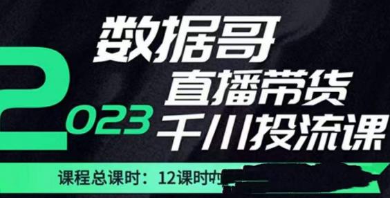 数据哥2023直播电商巨量千川付费投流实操课，快速掌握直播带货运营投放策略_免费分享网络创业,副业,信息差项目的老牌资源整合平台！金铲子项目