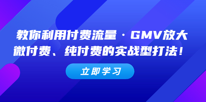 (5106期)教你利用付费流量·GMV放大,微付费、纯付费的实战型打法_免费分享网络创业,副业,信息差项目的老牌资源整合平台!金铲子项目