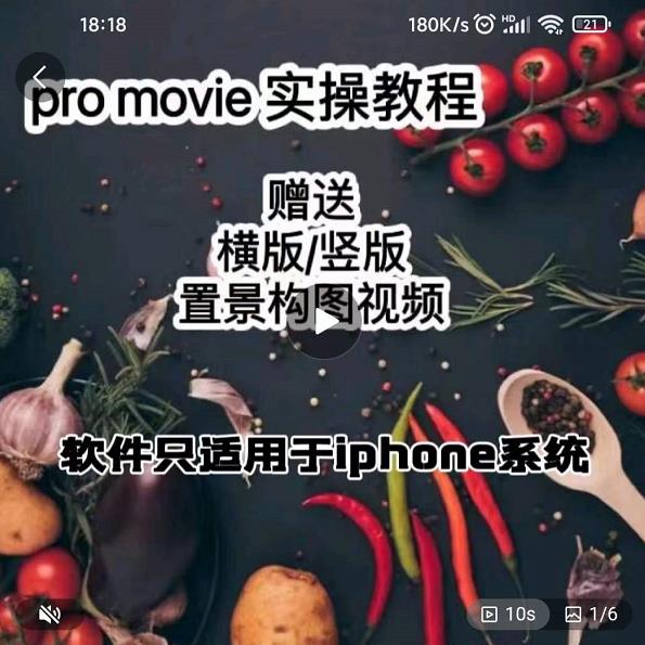 漆十二美食摄影，25​节promovie实操高手课节_免费分享网络创业,副业,信息差项目的老牌资源整合平台！金铲子项目