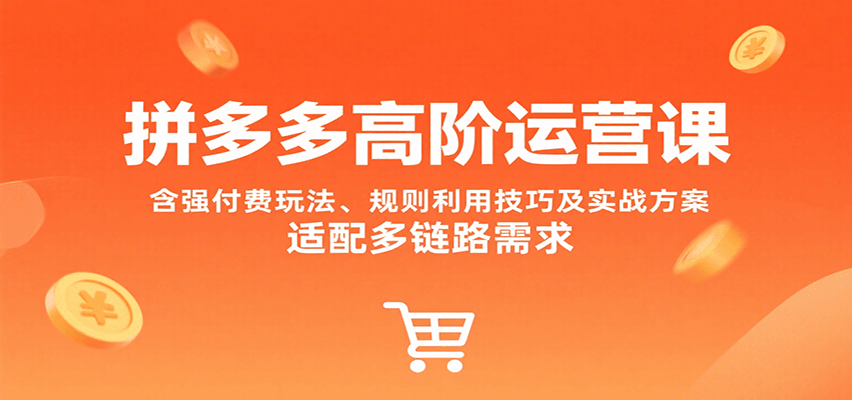 拼多多高阶运营课，含强付费玩法、规则利用技巧及实战方案，适配多链路需求_免费分享网络创业,副业,信息差项目的老牌资源整合平台！金铲子项目