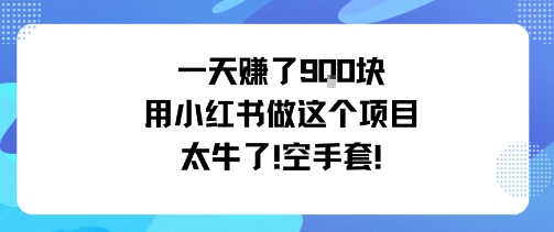 一天挣了9张用小红书做这个项目太牛了，空手套_免费分享网络创业,副业,信息差项目的老牌资源整合平台！金铲子项目