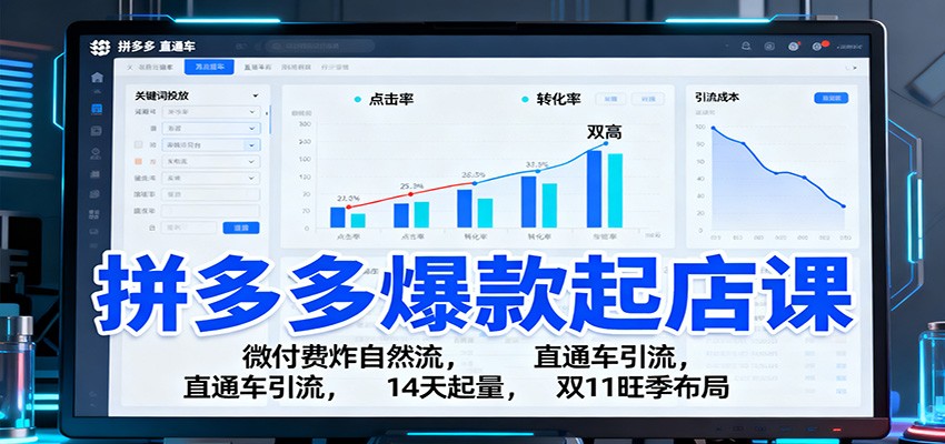 拼多多爆款起店课：微付费炸自然流，直通车引流，14天起量，双11旺季布局_免费分享网络创业,副业,信息差项目的老牌资源整合平台！金铲子项目
