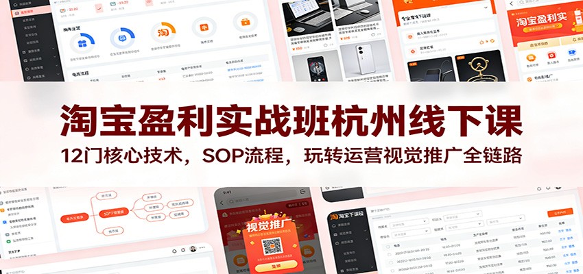 淘宝盈利实战班杭州线下课：12门核心技术，SOP流程，玩转运营视觉推广全链路_免费分享网络创业,副业,信息差项目的老牌资源整合平台！金铲子项目
