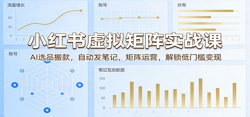 小红书虚拟矩阵实战课：AI选品搬款，自动发笔记，矩阵运营，解锁低门槛变现_免费分享网络创业,副业,信息差项目的老牌资源整合平台！金铲子项目