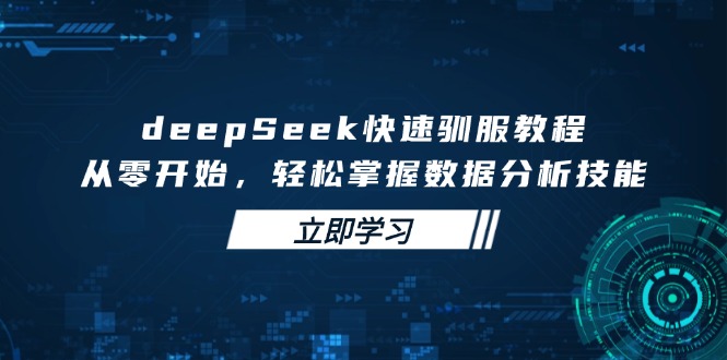 （14536期）deepSeek快速驯服教程，从零开始，掌握数据分析技能_免费分享网络创业,副业,信息差项目的老牌资源整合平台！金铲子项目