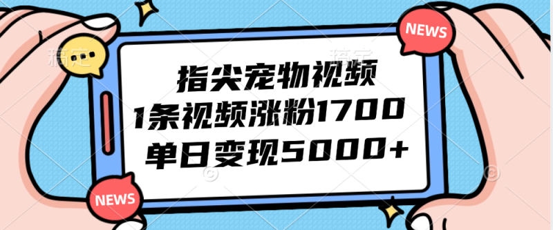 （12549期）指尖宠物视频，1条视频涨粉1700，单日5000_免费分享网络创业,副业,信息差项目的老牌资源整合平台！金铲子项目