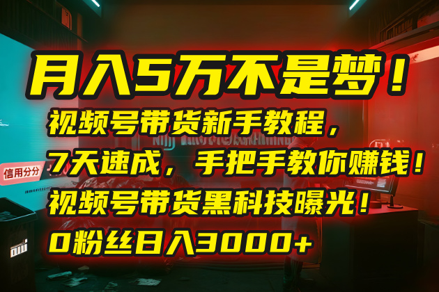 (15595期)5万不是梦视频号带货新手教程,7天速成,手把手教你赚钱视频号…_免费分享网络创业,副业,信息差项目的老牌资源整合平台!金铲子项目
