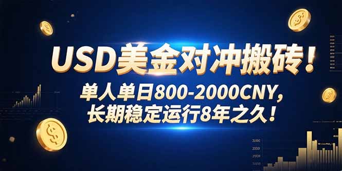 (15551期)USD美金对冲搬砖单人-2000CNY,长期稳定运行8年之久_免费分享网络创业,副业,信息差项目的老牌资源整合平台!金铲子项目