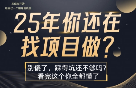 25年,你还在疯狂的找项目吗?别傻了,看完这个你都懂了_免费分享网络创业,副业,信息差项目的老牌资源整合平台!金铲子项目