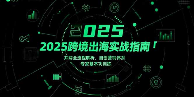 （15503期）2025跨境出海实战指南，并购全流程解析，自创营销体系，专家基本功训练_免费分享网络创业,副业,信息差项目的老牌资源整合平台！金铲子项目