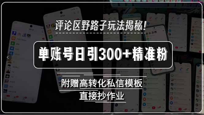 (15466期)评论区野路子玩法揭秘单账号日引精准粉,附赠高转化私信模板,直…_免费分享网络创业,副业,信息差项目的老牌资源整合平台!金铲子项目