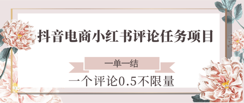 抖音电商小红书评论任务项目,一个评论0.5,一单一结不限量_免费分享网络创业,副业,信息差项目的老牌资源整合平台!金铲子项目