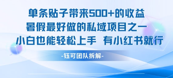 单条贴子带来5张的，暑假最好做的私域项目之一，小白也能上手，有小红书就行_免费分享网络创业,副业,信息差项目的老牌资源整合平台！金铲子项目