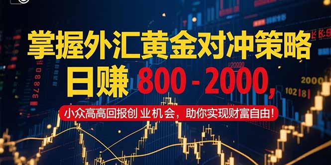 (15198期)掌握外汇黄金对冲策略,800–2000,小众高回报创业机会,助你实…_免费分享网络创业,副业,信息差项目的老牌资源整合平台!金铲子项目