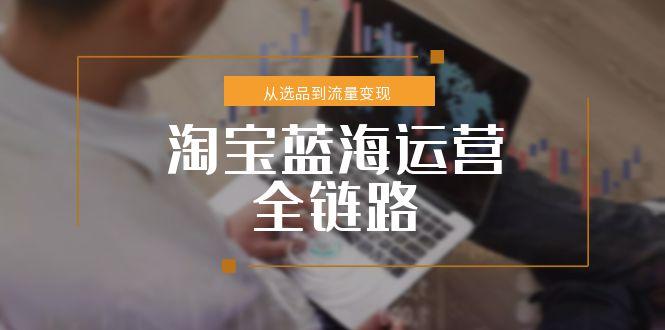 (15160期)淘宝蓝海运营全链路,从选品到流量,小类目突围完整方案_免费分享网络创业,副业,信息差项目的老牌资源整合平台!金铲子项目