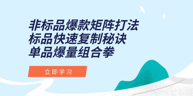 (15068期)非标品爆款矩阵打法,标品快速复制秘诀,单品爆量组合拳_免费分享网络创业,副业,信息差项目的老牌资源整合平台!金铲子项目