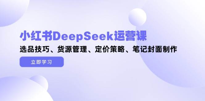 小红书DeepSeek运营课，选品技巧、货源管理、定价策略、笔记封面制作_免费分享网络创业,副业,信息差项目的老牌资源整合平台！金铲子项目