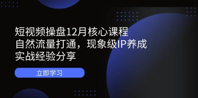 短视频操盘12月核心课程:自然流量打通,现象级IP养成,实战经验分享_免费分享网络创业,副业,信息差项目的老牌资源整合平台!金铲子项目
