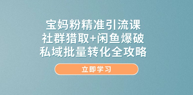 (14820期)宝妈粉精准引流课,社群猎取闲鱼爆破,私域批量转化全攻略_免费分享网络创业,副业,信息差项目的老牌资源整合平台!金铲子项目