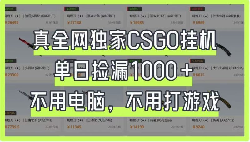 真全网独家CSGO挂机，单日捡漏，不用电脑，不用养号_免费分享网络创业,副业,信息差项目的老牌资源整合平台！金铲子项目