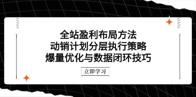 (14698期)全站盈利布局方法:动销计划分层执行策略,爆量优化与数据闭环技巧_免费分享网络创业,副业,信息差项目的老牌资源整合平台!金铲子项目