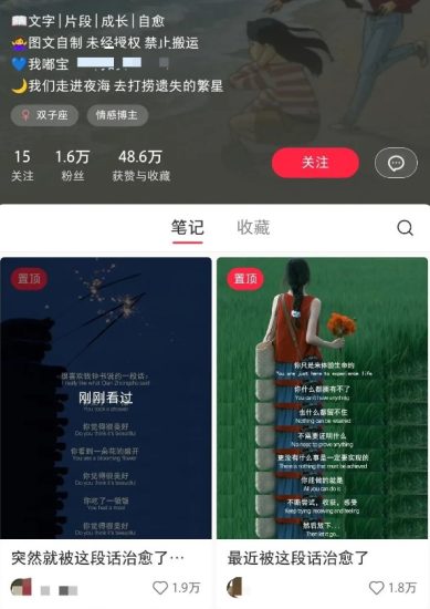 小红书治愈文案图文笔记,零门槛,一分钟制作制作爆款作品_免费分享网络创业,副业,信息差项目的老牌资源整合平台!金铲子项目
