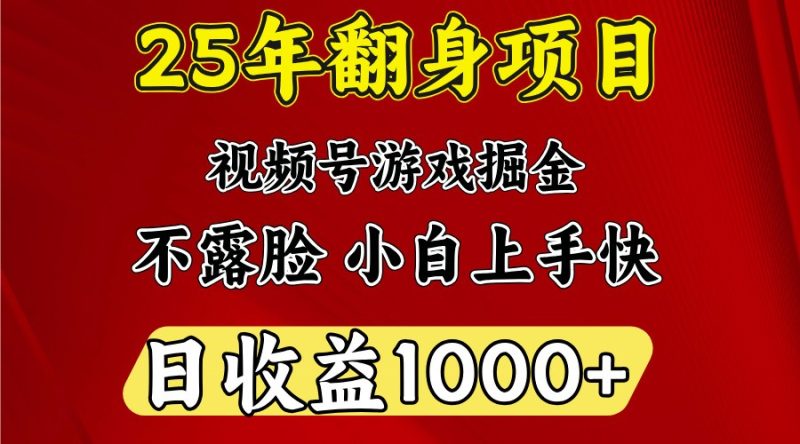 一天25年开年落地好项目_免费分享网络创业,副业,信息差项目的老牌资源整合平台！金铲子项目