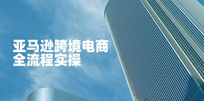 （14252期）亚马逊跨境电商全流程实操，教你从零开始，掌握店铺运营与广告技巧_免费分享网络创业,副业,信息差项目的老牌资源整合平台！金铲子项目