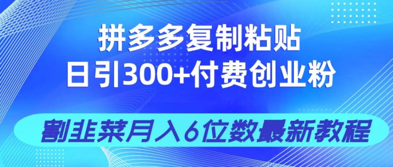 (14232期)拼多多复制粘贴日引付费创业粉,割韭菜6位数最新教程_免费分享网络创业,副业,信息差项目的老牌资源整合平台!金铲子项目