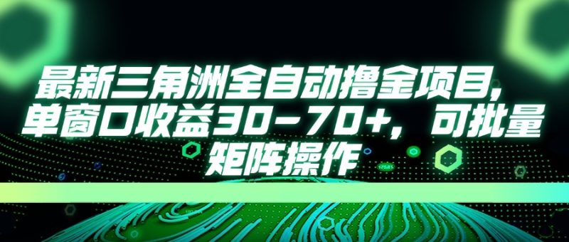 （14191期）最新三角洲全自动撸金项目，单窗口30可批量矩阵操作_免费分享网络创业,副业,信息差项目的老牌资源整合平台！金铲子项目