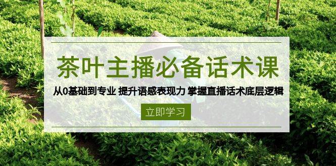 茶叶主播必备话术课从0基础到专业提升语感表现力掌握直播话术底层逻辑_免费分享网络创业,副业,信息差项目的老牌资源整合平台!金铲子项目