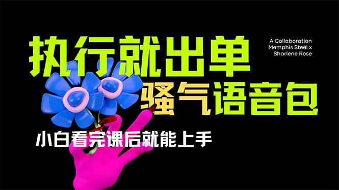 (14170期)爆火全网的开车导航骚气语音包,只要执行就出单,小白看完课程就能实操…_免费分享网络创业,副业,信息差项目的老牌资源整合平台!金铲子项目