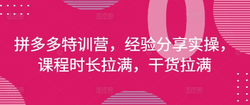 拼多多特训营,经验分享实操,课程时长拉满,干货拉满(更新25年4月)_免费分享网络创业,副业,信息差项目的老牌资源整合平台!金铲子项目