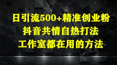 日引流精准创业粉,抖音共情自热打法,工作室都在用的方法_免费分享网络创业,副业,信息差项目的老牌资源整合平台!金铲子项目