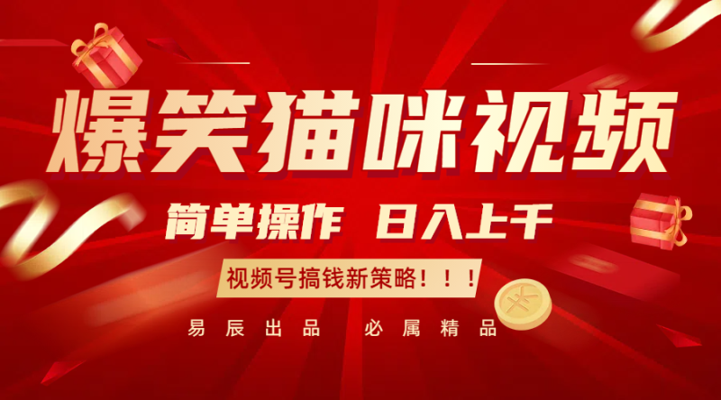 爆笑猫咪视频:简单操作,过千,视频号搞钱新策略_免费分享网络创业,副业,信息差项目的老牌资源整合平台!金铲子项目