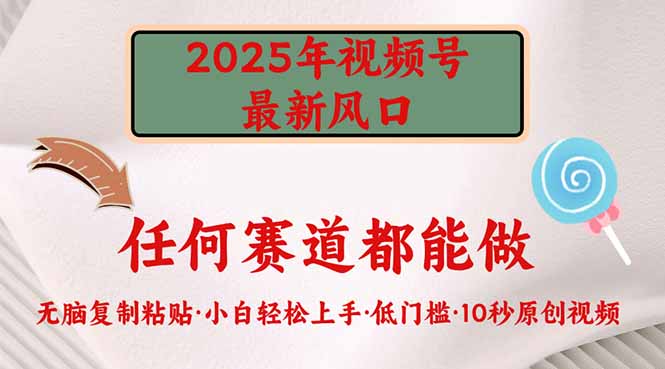 （14453期）2025年视频号新风口，低门槛只需要无脑执行_免费分享网络创业,副业,信息差项目的老牌资源整合平台！金铲子项目