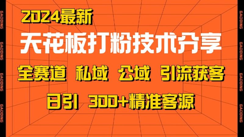 天花板打粉技术分享,野路子玩法曝光玩法免费矩阵自热技术日引精准客户_免费分享网络创业,副业,信息差项目的老牌资源整合平台!金铲子项目