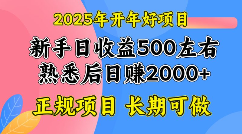 （14076期）2025开年好项目，单号0左右_免费分享网络创业,副业,信息差项目的老牌资源整合平台！金铲子项目