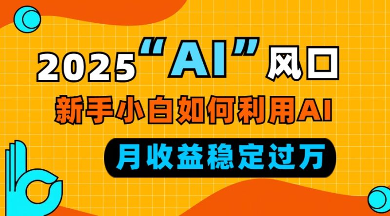 (13821期)2025“AI”风口,新手小白如何利用ai,每月稳定_免费分享网络创业,副业,信息差项目的老牌资源整合平台!金铲子项目