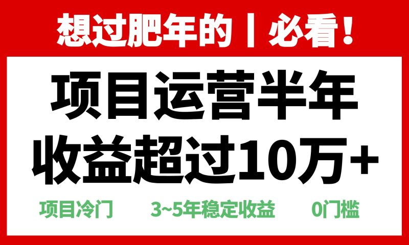 （13663期）年前过肥年的必看的超冷门项目，半年超过10万，_免费分享网络创业,副业,信息差项目的老牌资源整合平台！金铲子项目