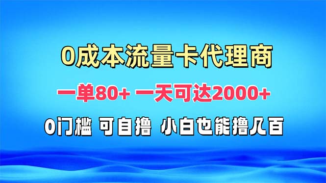 (13391期)免费流量卡代理一单一天可达_免费分享网络创业,副业,信息差项目的老牌资源整合平台!金铲子项目