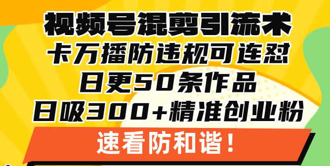 (13400期)视频号混剪引流技术,500万播放引流17000创业粉,操作简单学会_免费分享网络创业,副业,信息差项目的老牌资源整合平台!金铲子项目