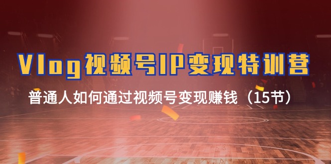 Vlog视频号IP特训营，普通人如何通过视频号赚钱（15节）_免费分享网络创业,副业,信息差项目的老牌资源整合平台！金铲子项目