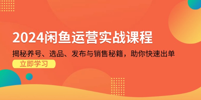 (13290期)2024闲鱼运营实战课程:揭秘养号、选品、发布与销售秘籍,助你快速出单_免费分享网络创业,副业,信息差项目的老牌资源整合平台!金铲子项目