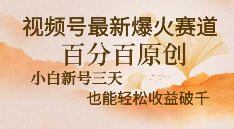 （13225期）视频号最新爆火赛道，中老年粉深信不疑，百分百原创，新号三天…_免费分享网络创业,副业,信息差项目的老牌资源整合平台！金铲子项目