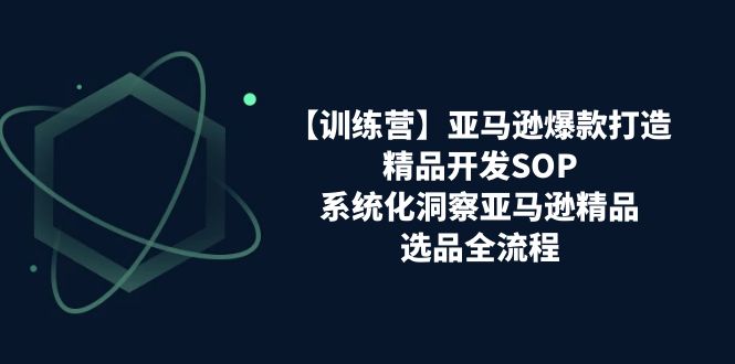 亚马逊爆款打造之精品开发SOP【训练营】,系统化洞察亚马逊精品选品全流程_免费分享网络创业,副业,信息差项目的老牌资源整合平台!金铲子项目