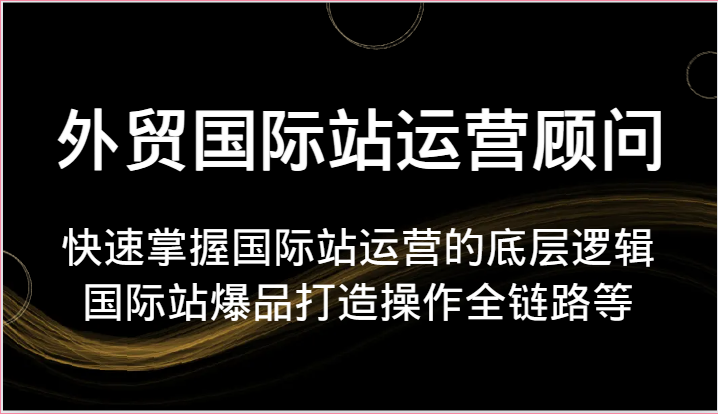 外贸国际站运营顾问-快速掌握国际站运营的底层逻辑,国际站爆品打造操作全链路等_免费分享网络创业,副业,信息差项目的老牌资源整合平台!金铲子项目