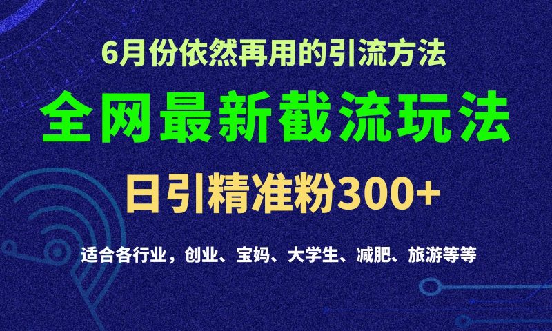 2024全网最新截留玩法,每日引流突破_免费分享网络创业,副业,信息差项目的老牌资源整合平台!金铲子项目